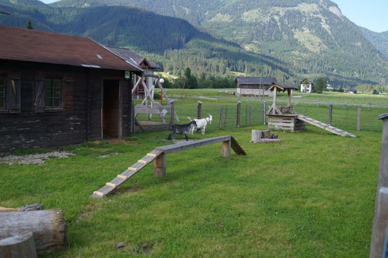 Hallstatt Dachstein Inn Гозау Экстерьер фото